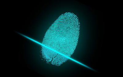 Interesting Facts About Security Keys, Cylinders, And Deadbolts As Door Locks